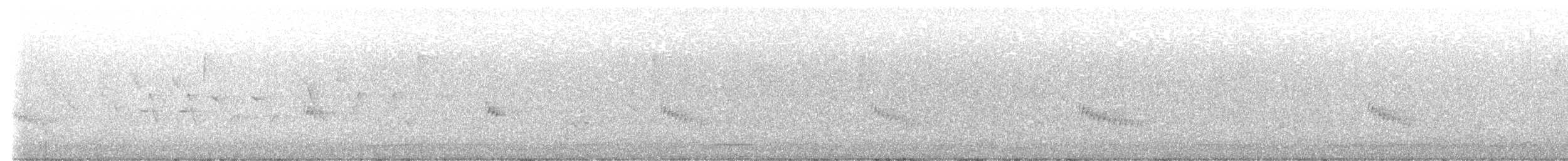 Поплітник каролінський - ML464036721