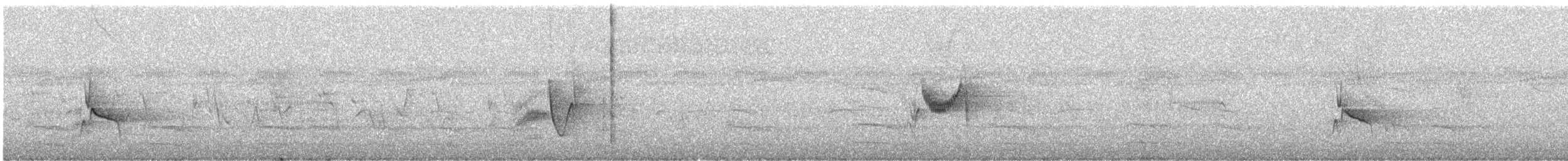 Kurşuni Vireo (notius/montanus) - ML464105971