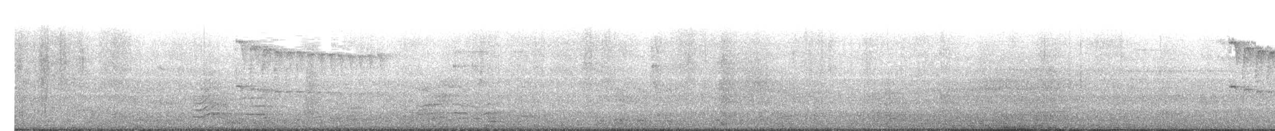 Pic mineur (gairdnerii/turati) - ML464125831
