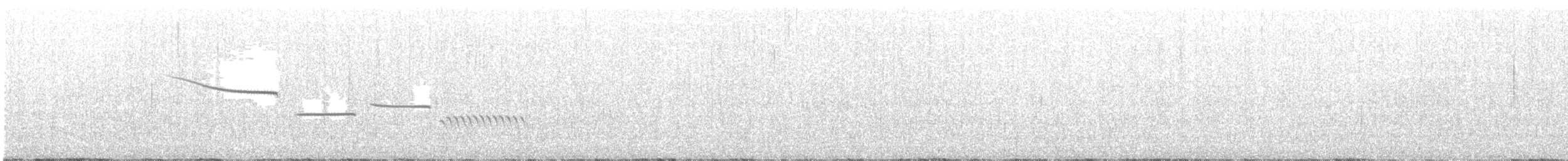 Chingolo Coronidorado - ML464129621