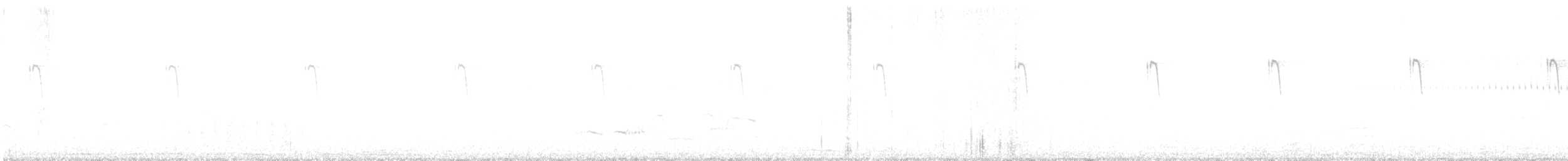 Золотистая цистикола - ML464151071