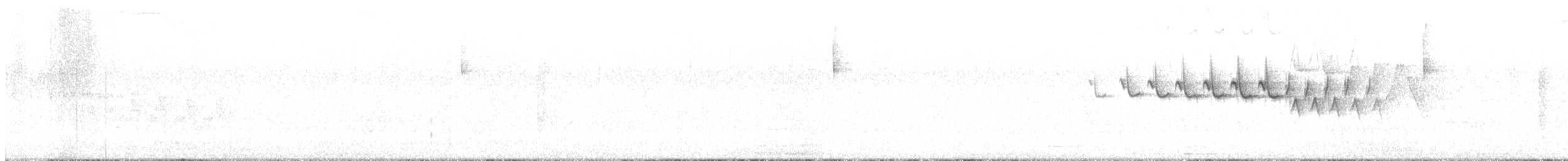 キヅタアメリカムシクイ（coronata） - ML464191021