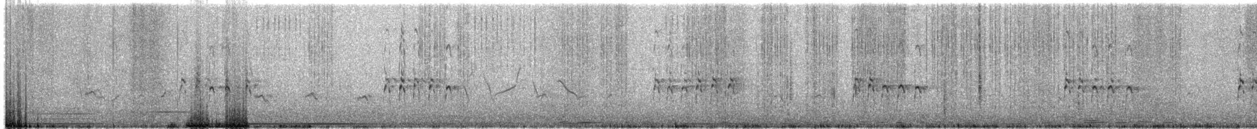 Ibisschnabel - ML464193071