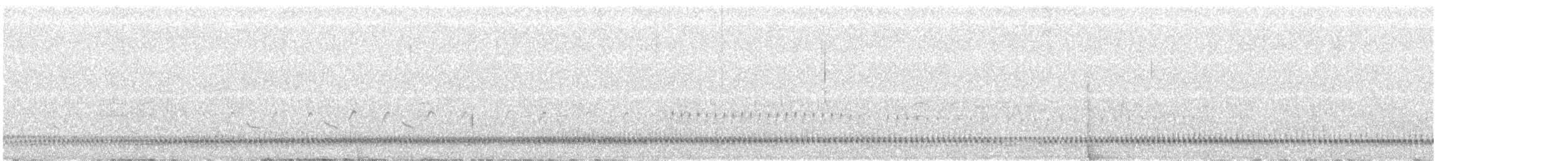 Calidris sp. - ML464241181