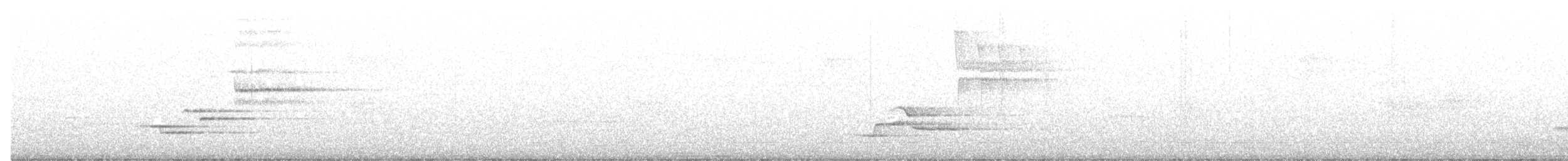 קיכלי יערות - ML464307961