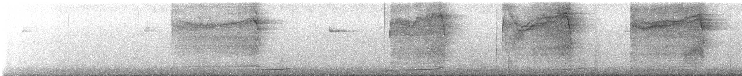Сова плямиста - ML464329391