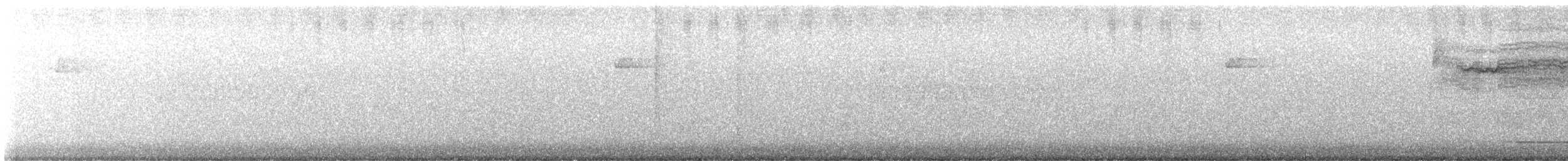 Сова плямиста - ML464329411