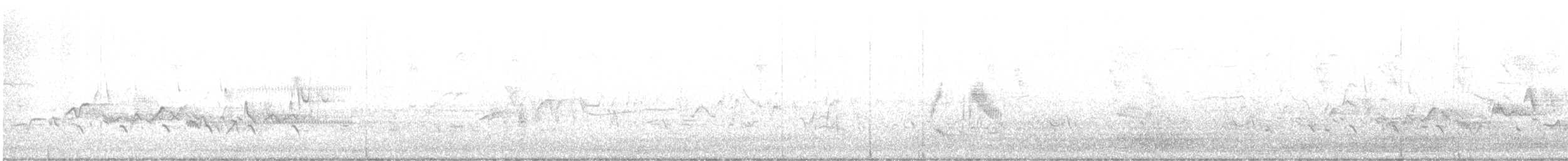 Warbling Vireo (Eastern) - ML464334761