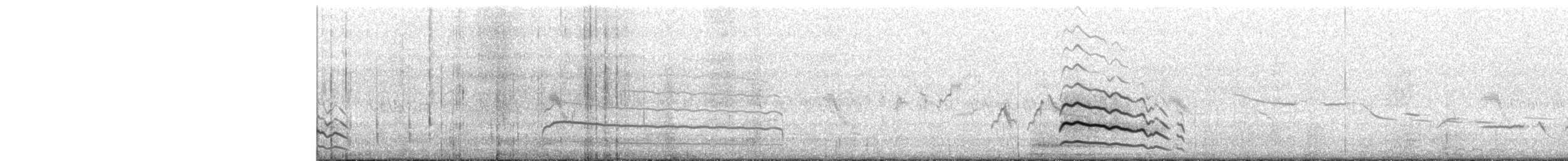 עקב מכנסיים - ML464348341