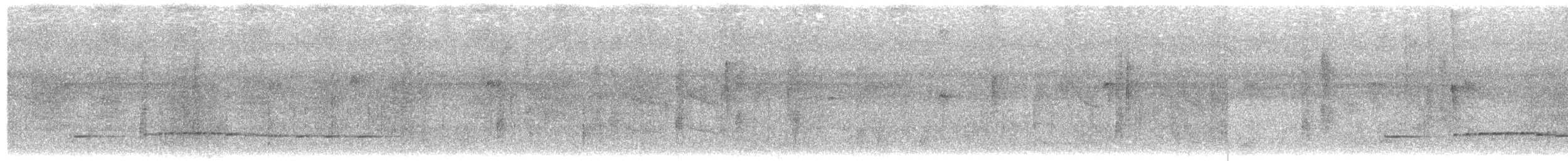Graubrust-Ameisendrossel - ML464420491