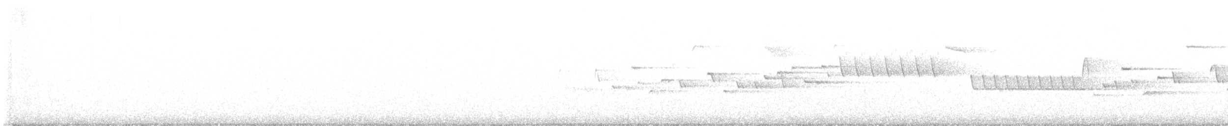 フユミソサザイ - ML464453921