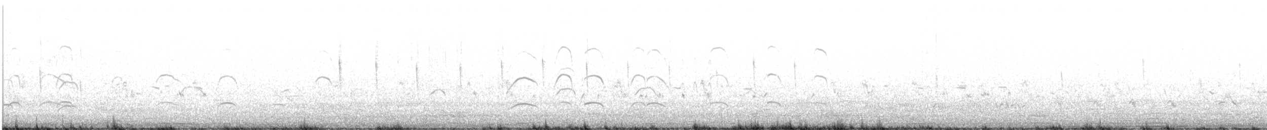 שלצדף אמריקני - ML464477561