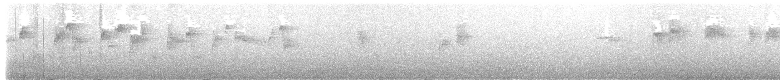 Сейшельская нектарница - ML464489881