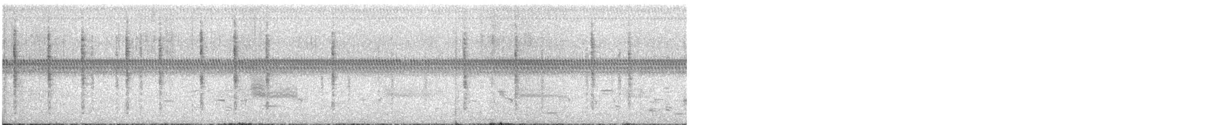 Troglodytidae, unbestimmt - ML464508871