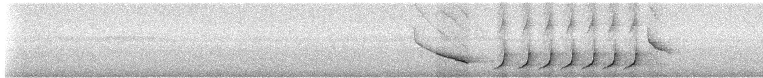 ショウジョウコウカンチョウ - ML464540251