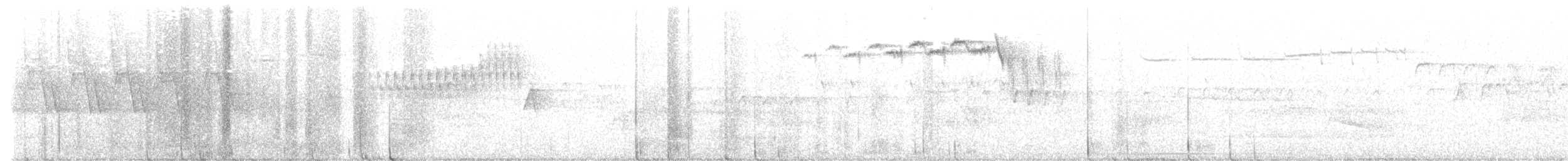 stryparula - ML464549261