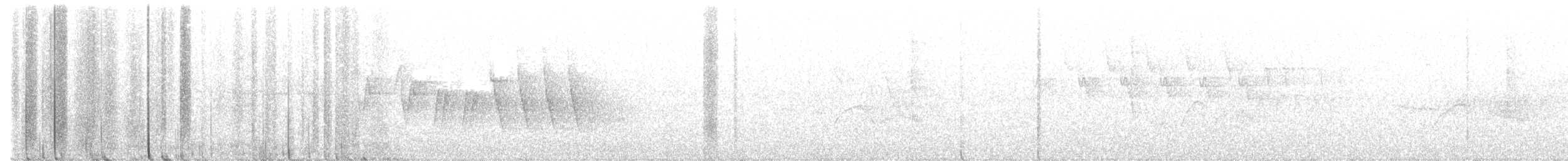 Northern Waterthrush - ML464551011