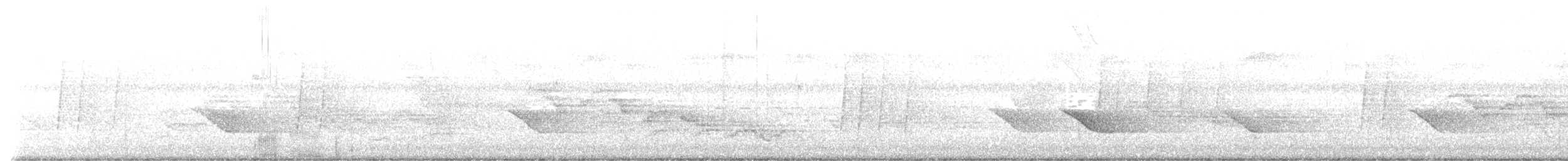 Veery - ML464553861