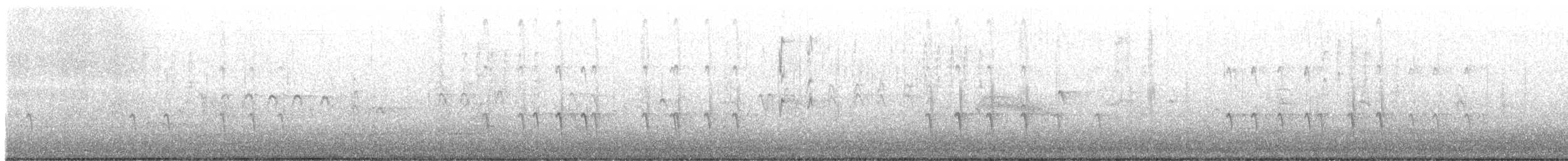 Bec-croisé des sapins - ML464571191