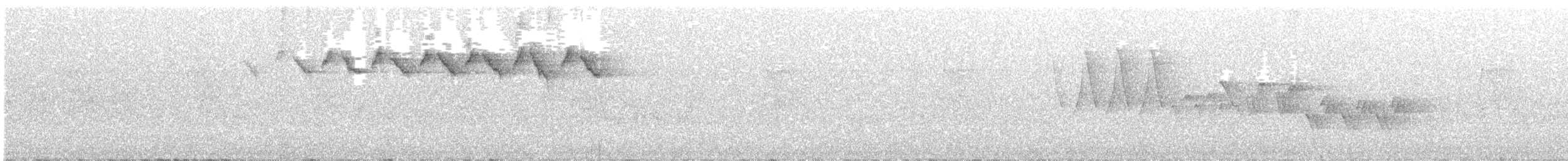 lesňáček černobílý - ML464615691