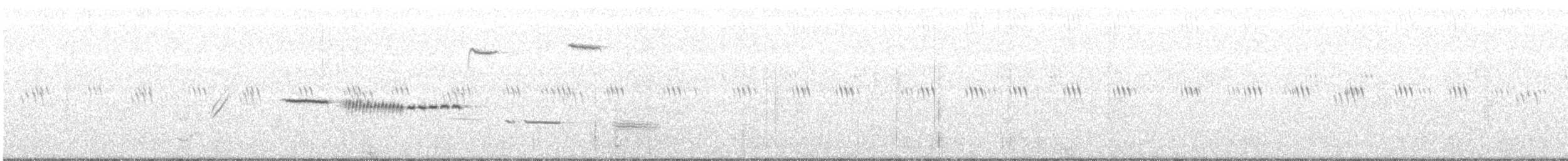 Cassin's Sparrow - ML464642981