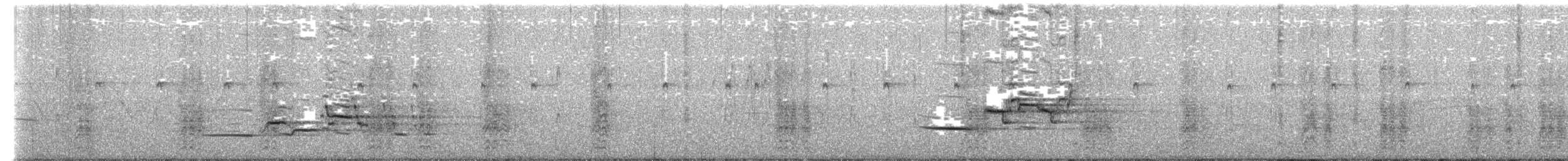 Дрізд-короткодзьоб плямистоволий - ML464755501
