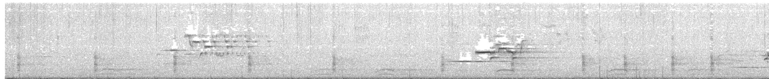 Дрізд-короткодзьоб плямистоволий - ML464755511