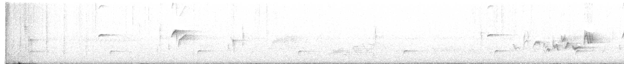 Western Flycatcher - ML464775801