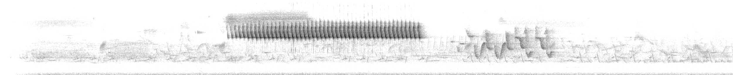 Schwirrammer - ML464783551