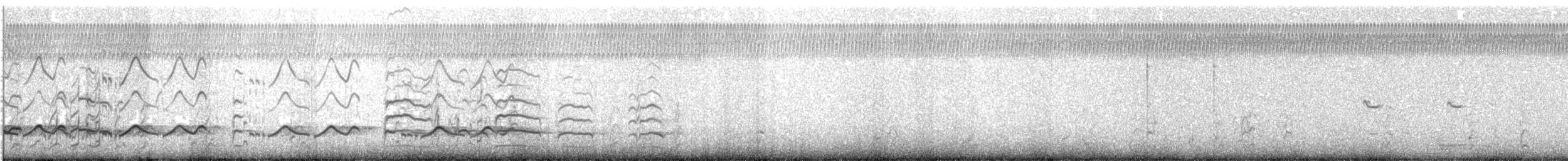 Schlammtreter (inornata) - ML464797861