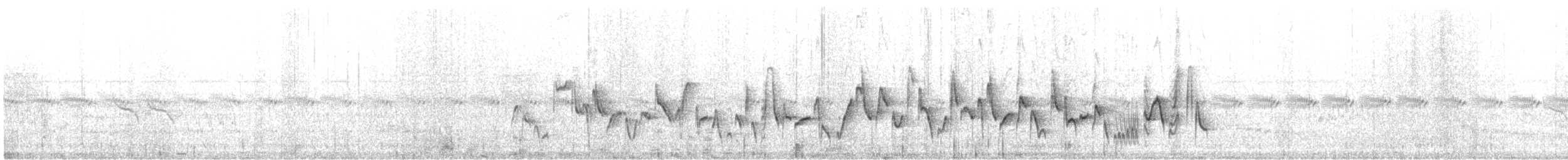 Laticille des marais - ML464797911