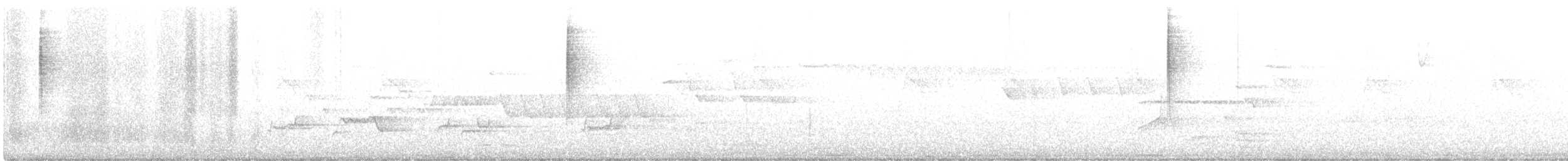 lesňáček černobílý - ML464802901