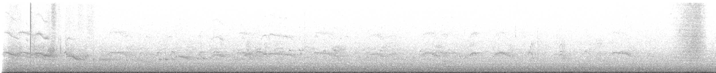 Arctic Tern - ML464858991