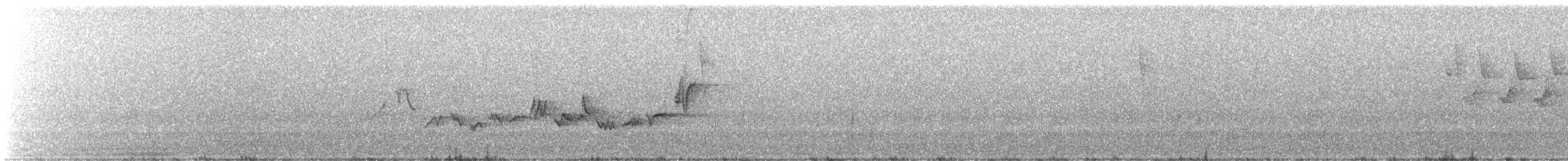 Warbling Vireo (Eastern) - ML464859311