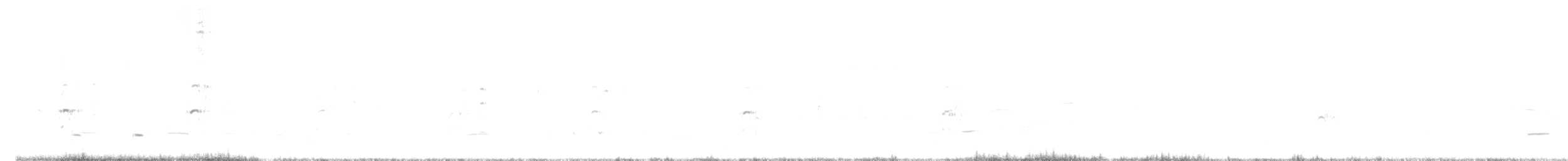 Trauerseeschwalbe - ML464867251