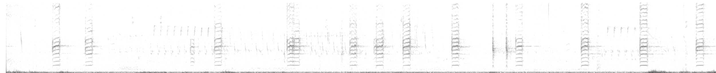 Carouge à épaulettes (groupe phoeniceus) - ML464872531