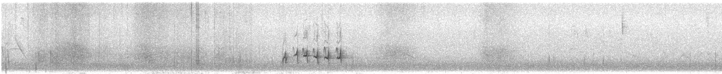 American Robin - ML464897511