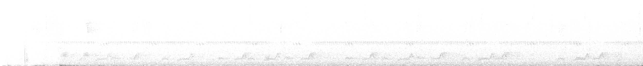 Mexikonachtschwalbe - ML464902111