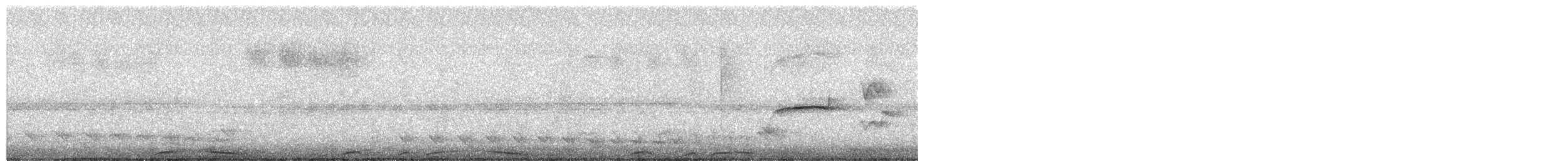 holub neotropický - ML464911951