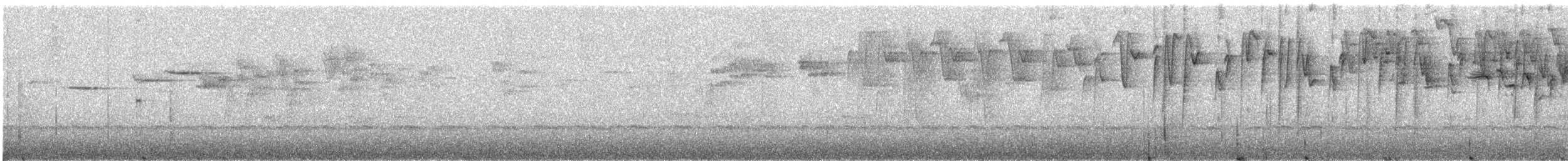 Montane Woodcreeper - ML464929941