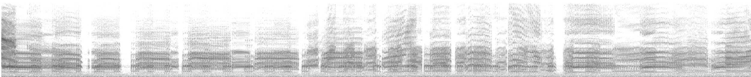 Silberkopfmöwe (novaehollandiae/forsteri) - ML464937981