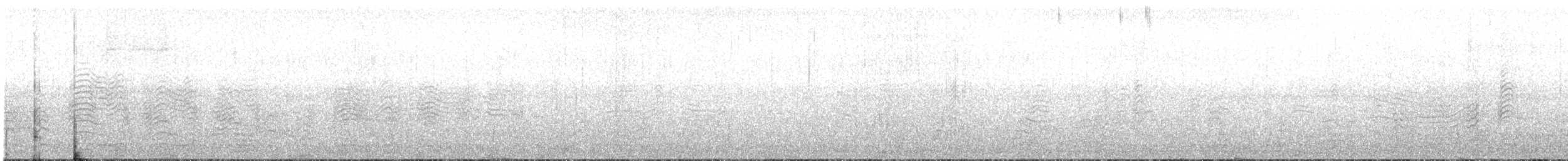 Gabai arre atlantikoa/mediterraneoa - ML464954191
