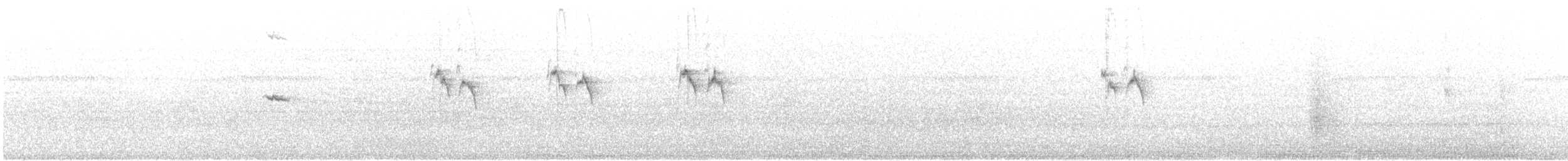 Olive-spotted Hummingbird - ML464993471