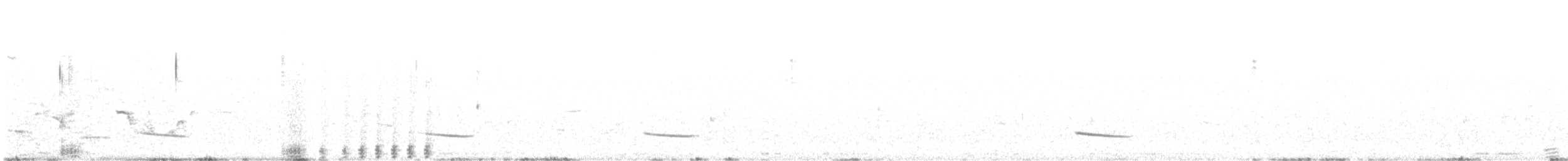 Sharp-tailed Grouse - ML465005621