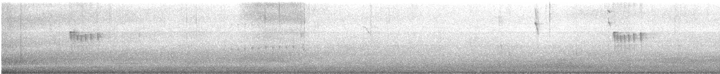 Weißscheitel-Kleintyrann (subcristata/straminea) - ML465035361