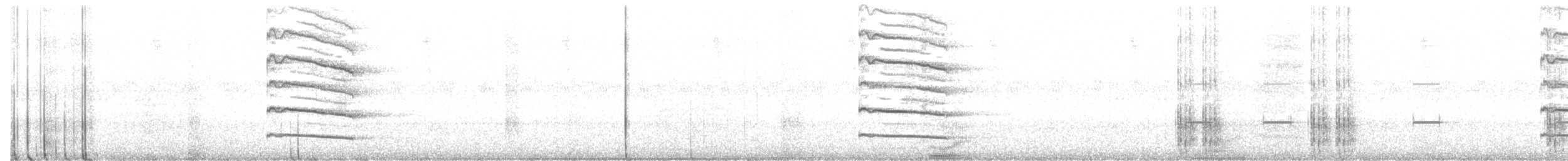 Kulaklı Orman Baykuşu (otus/canariensis) - ML465096271