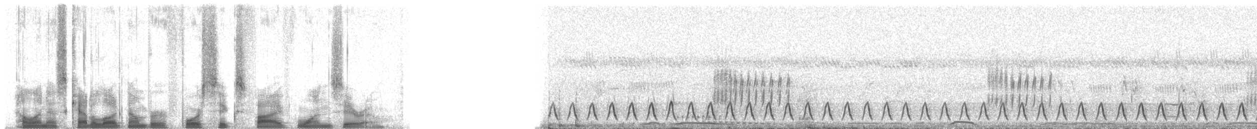 Slender-tailed Nightjar - ML46510