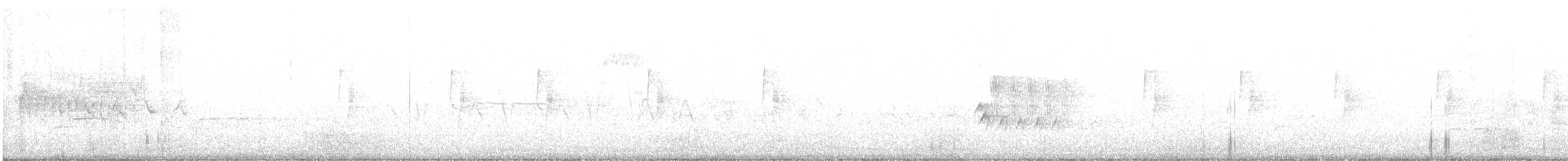 Küçük Boreal Sinekkapan - ML465105341