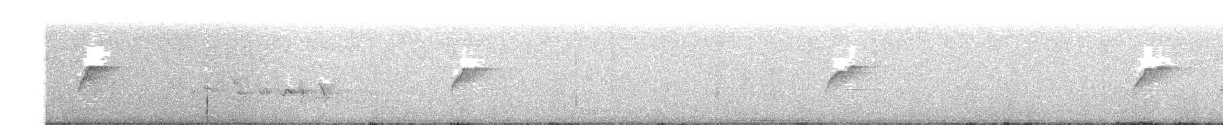 Batı Amerika Sinekkapanı (occidentalis/hellmayri) - ML465119911