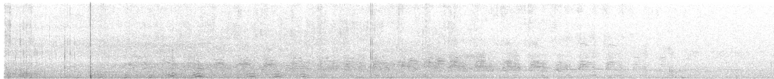 Пелікан рогодзьобий - ML465124761